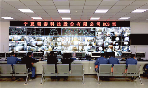 宁夏中卫市瑞泰科技股份有限公司